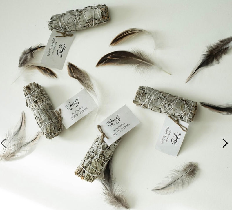 Santo California Apiana White Sage